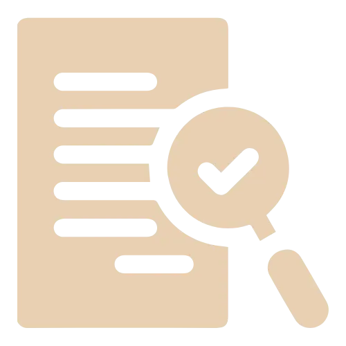 Detailed Site Audits