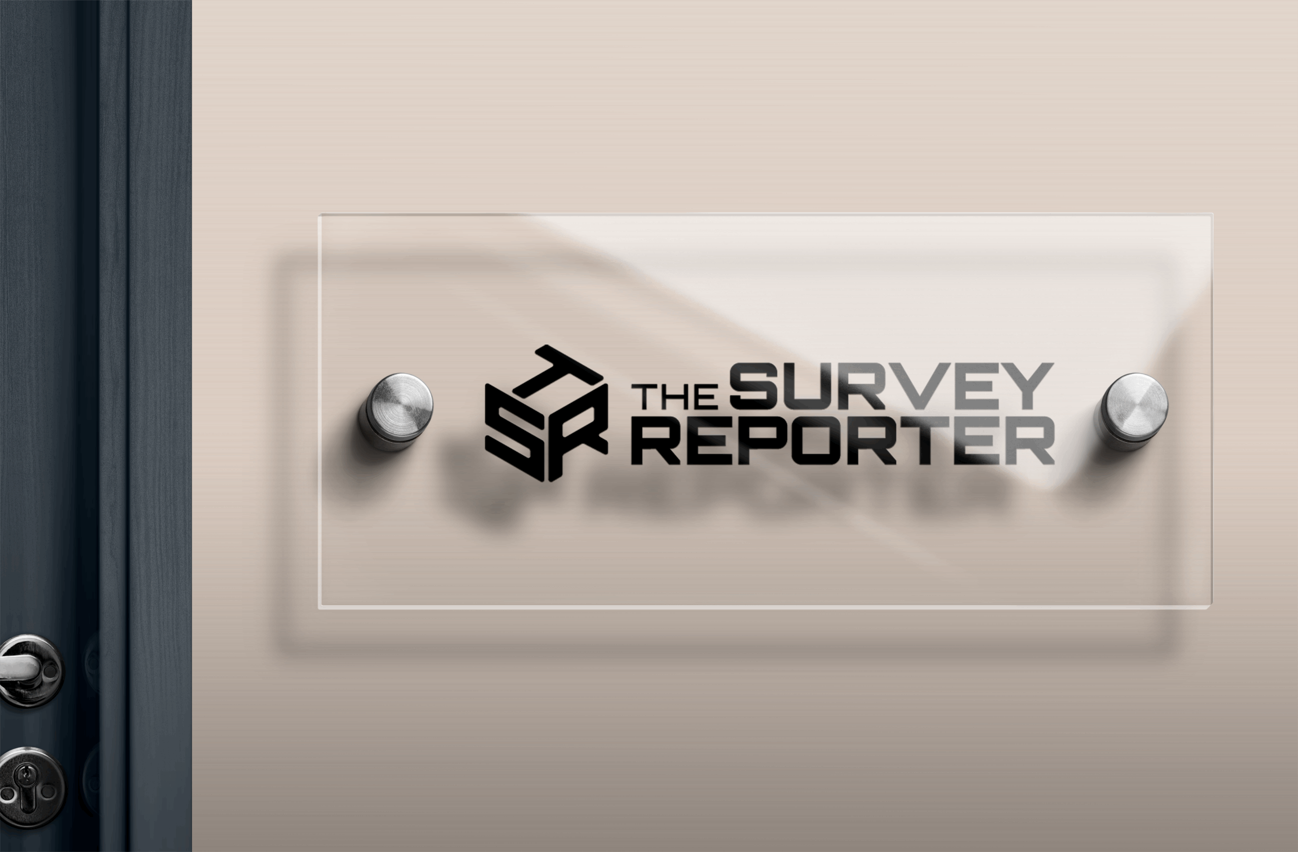 THE SURVEY REPORTER